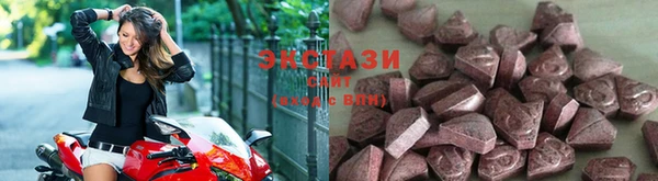 эйфоретик Богданович
