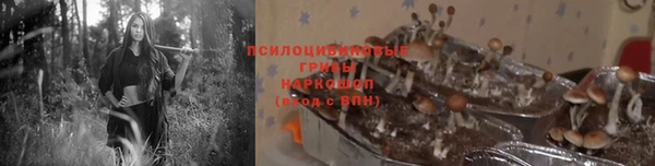 твердый Богородицк